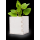 Bloempot Merin 