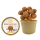 Bio Snoepbeker 100 gram Chocolade Truffels (incl. dekselsticker) Standaard