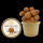 Bio Snoepbeker 100 gram Chocolade Truffels (incl. dekselsticker) Standaard