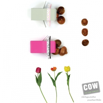 Afbeelding van relatiegeschenk:Mini kubus met bloembollen